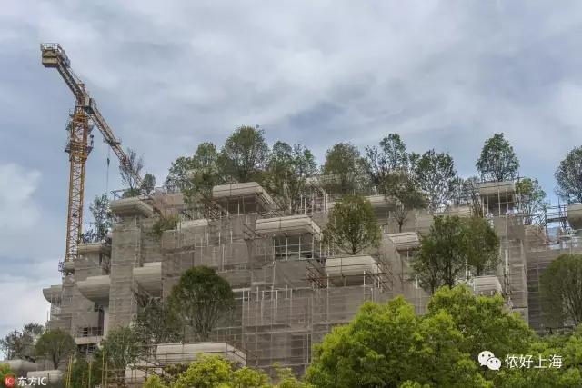 鬼才设计师托马斯，又发飙了，在上海建了座巴比伦空中花园