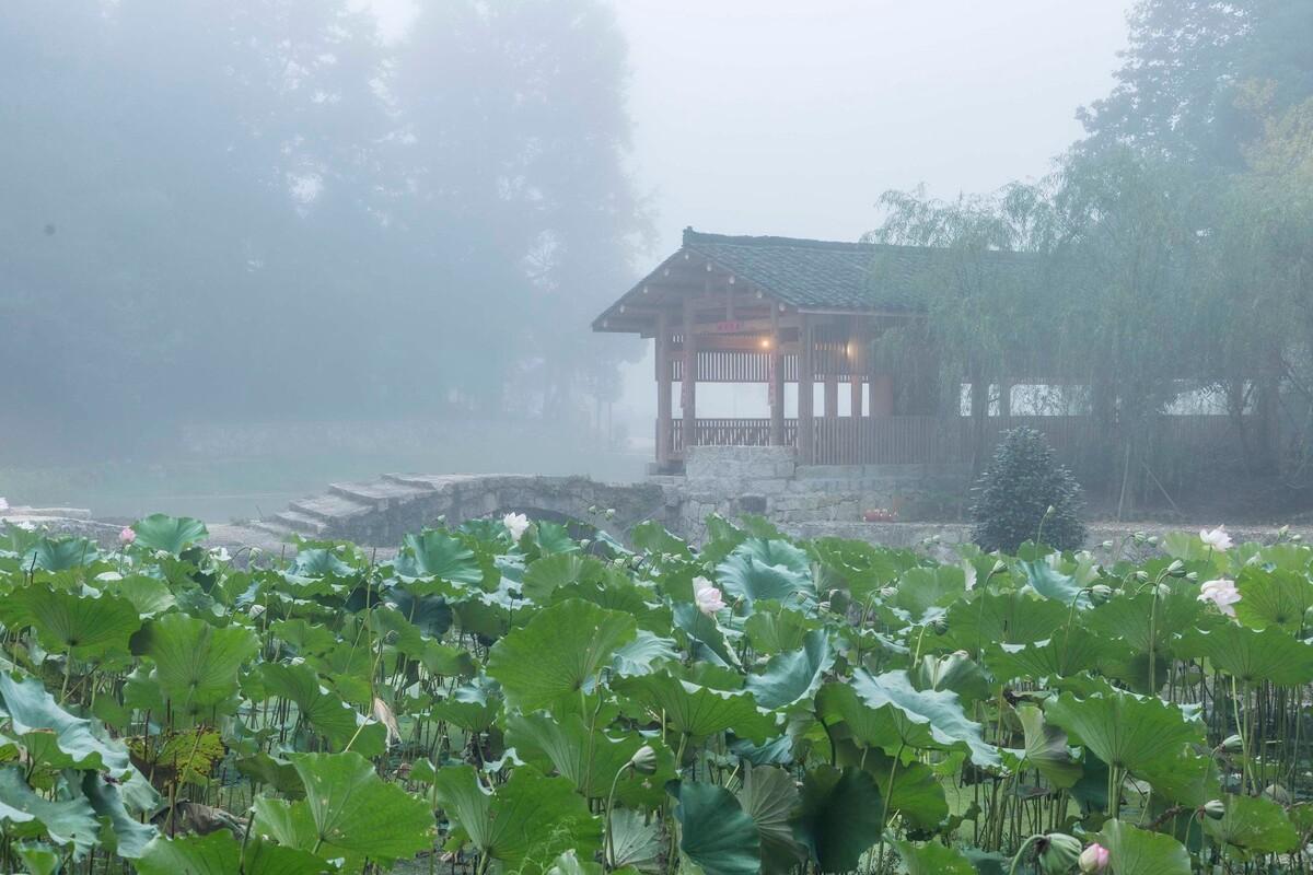 上坪古村复兴计划 / 三文建筑