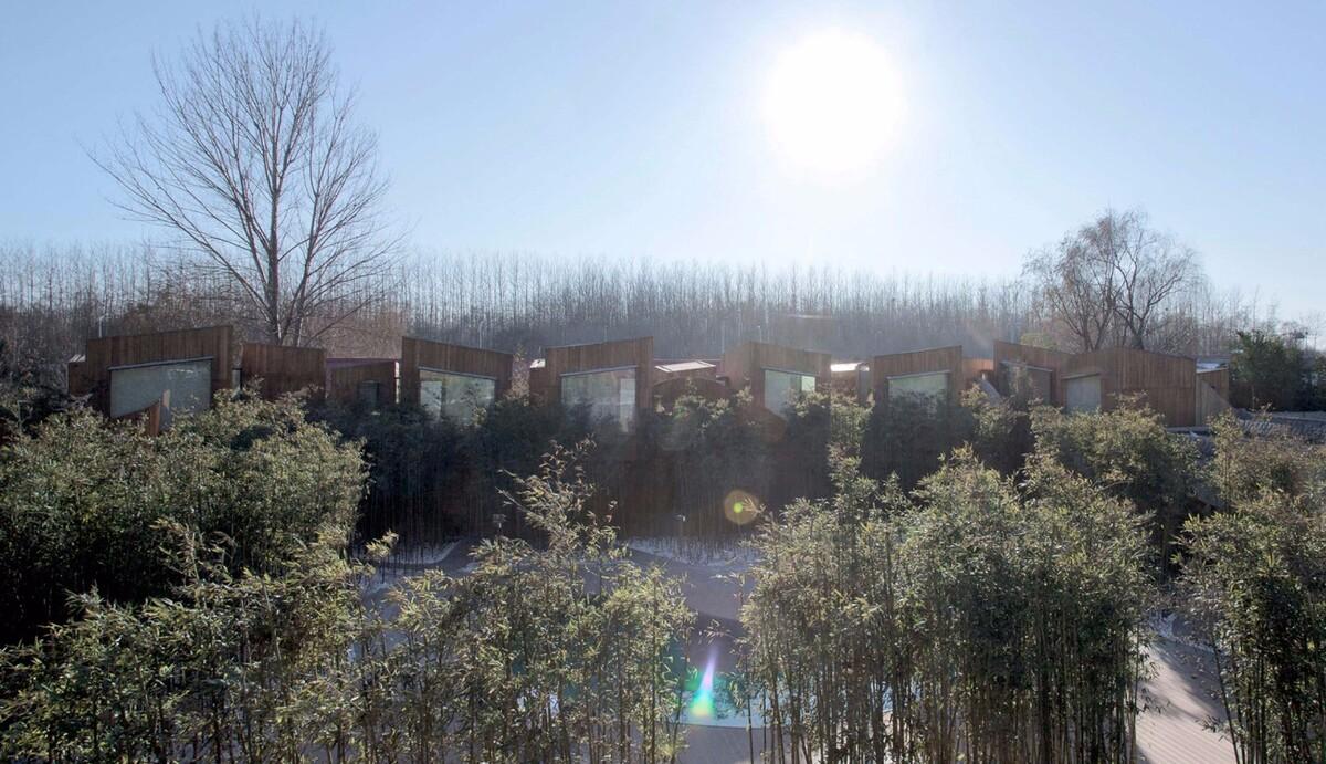 金沙集团1862cc成色