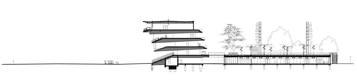 金沙集团1862cc成色