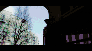 21.gif