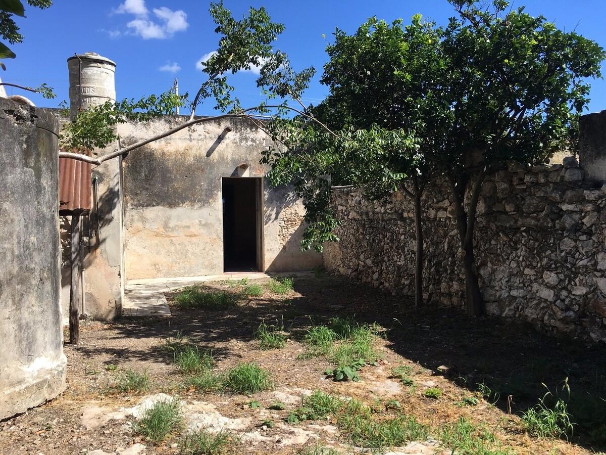 用斑驳的墙壁向时间致意 — Xolotl住宅