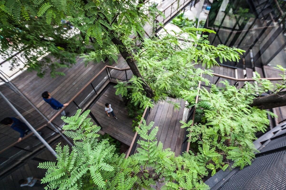 消失在树林中的奈帕艺术中心