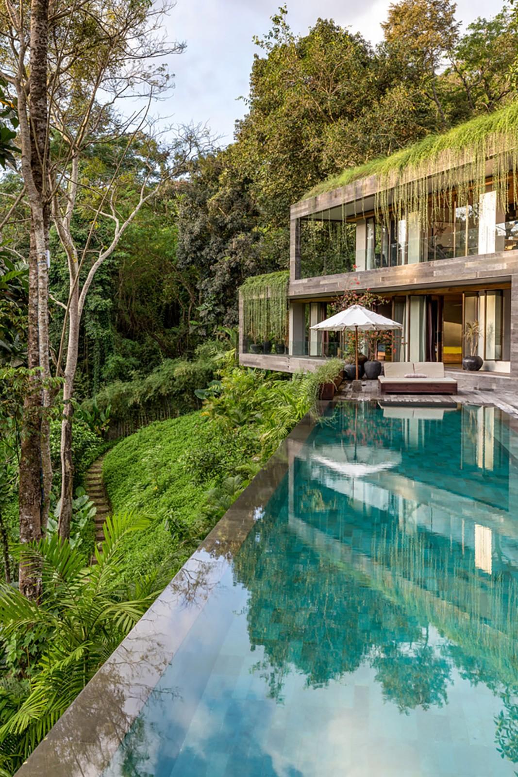 让建筑成为地形生长一部分的变色龙住宅 | Chameleon Villa
