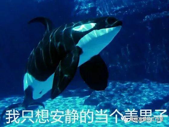 你的建筑可以不讲道理，但要讲道德