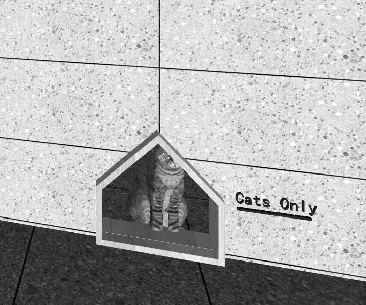 天呐！看看这些大牌建筑师都对猫咪做了什么？
