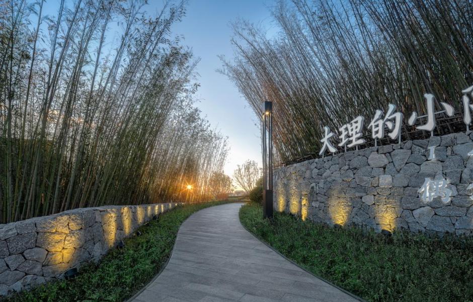 金沙集团1862cc成色
