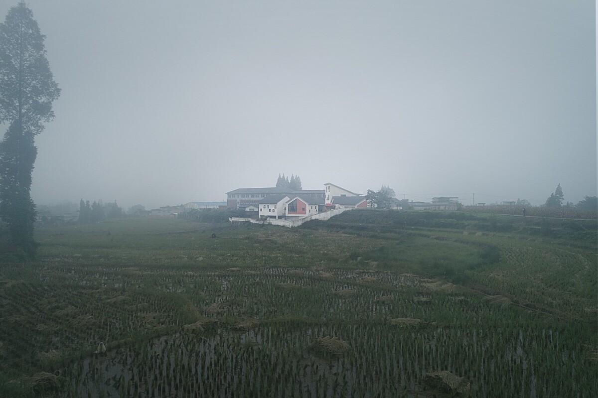 金沙集团1862cc成色