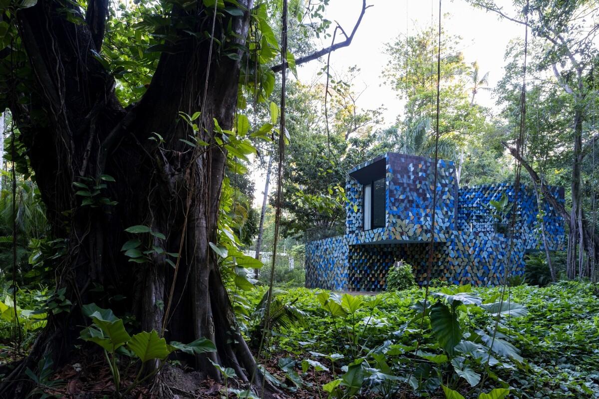 Las Olas 度假屋 / Young Projects