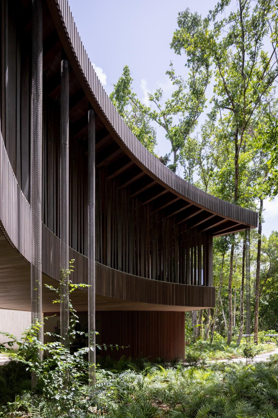 Las Olas 度假屋 / Young Projects