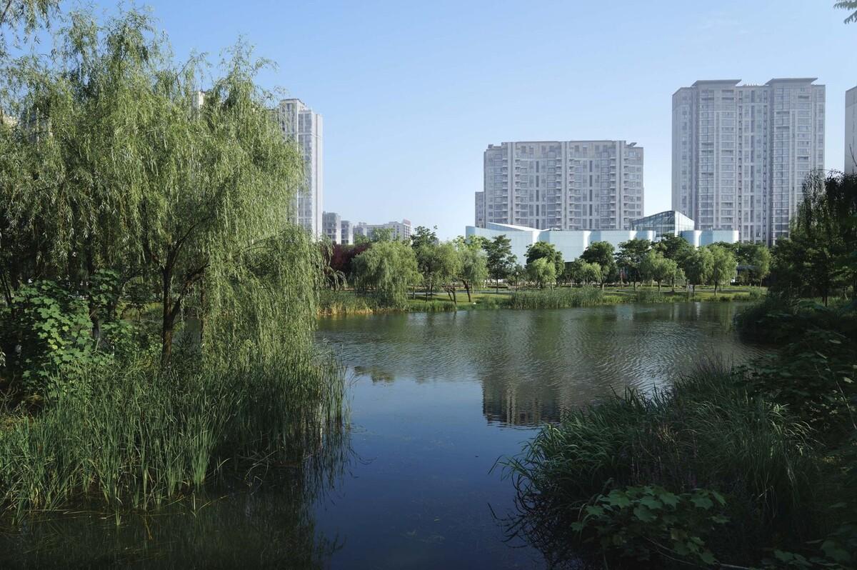 宁波周尧昆虫博物馆 / 上海秉仁建筑师事务所 + 席地建筑工作室