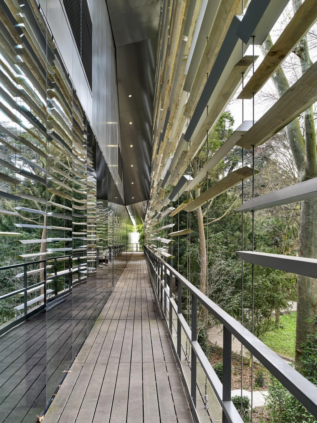 阿尔伯特·卡恩博物馆 / 隈研吾建筑都市设计事务所
