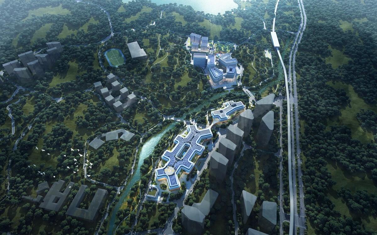 金沙集团1862cc成色