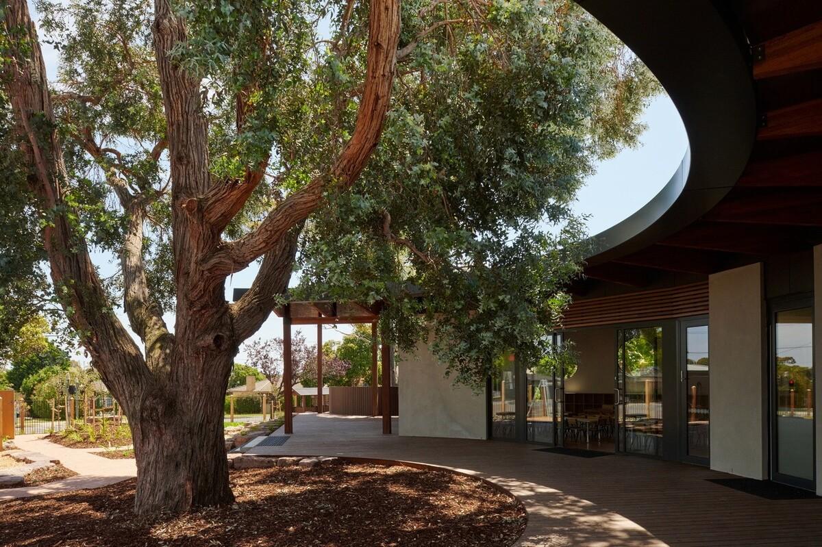 抱树而建，Wellington 亲子中心 / AOA Christopher Peck