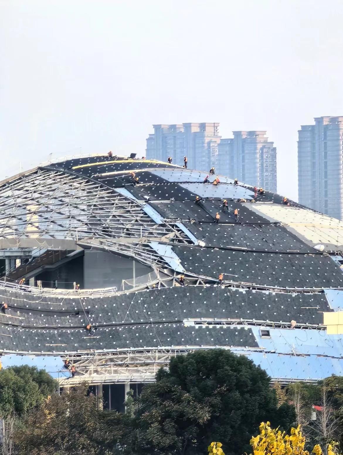 金沙集团1862cc成色