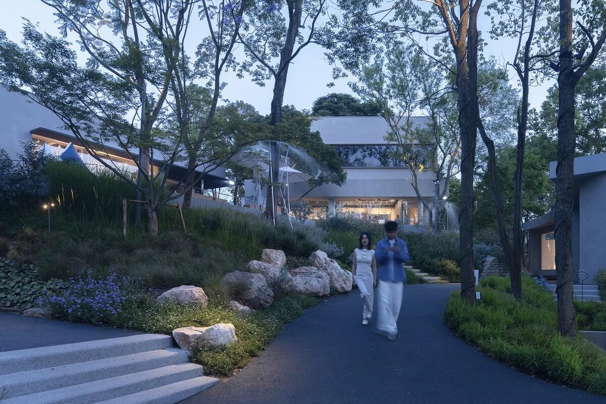 金沙集团1862cc成色