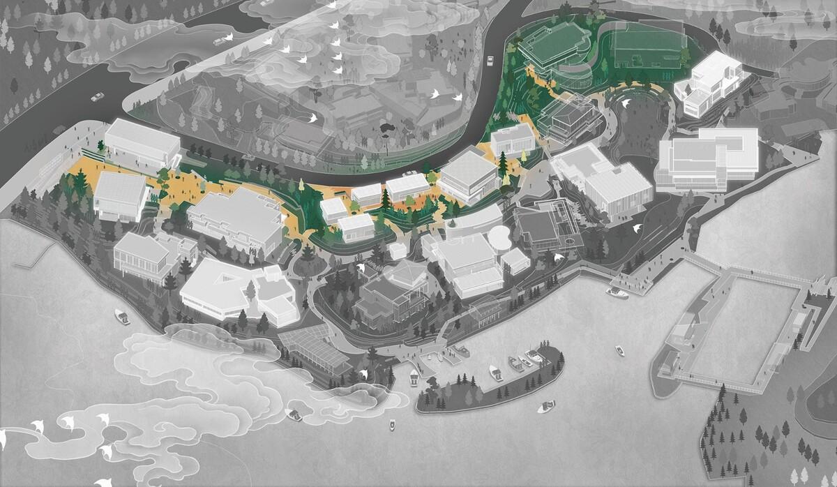 金沙集团1862cc成色