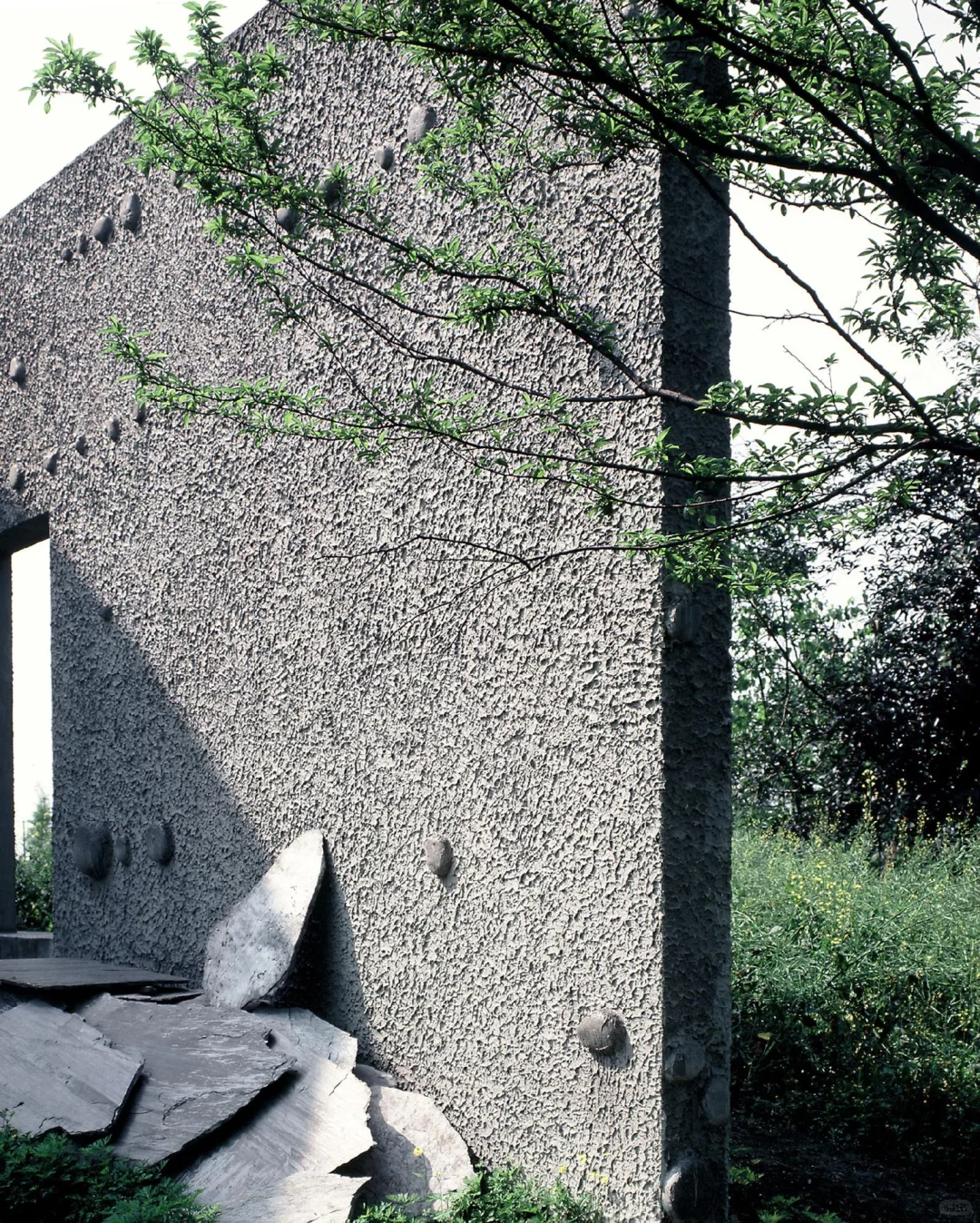 读建筑是个意外？大学一直没有喜欢建筑，普奖得主家琨 2003 年专访。