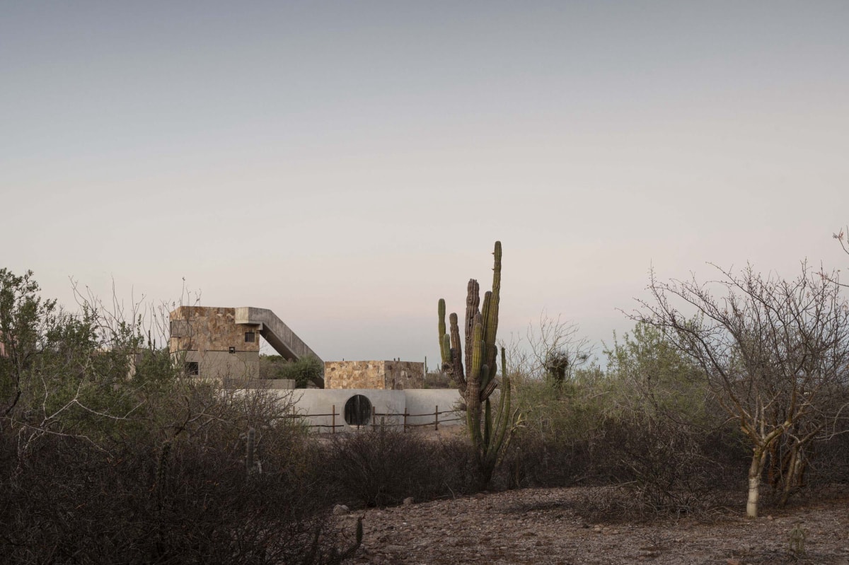 La Paz住宅：墨西哥的自然栖居 / Ludwig Godefroy Architecture