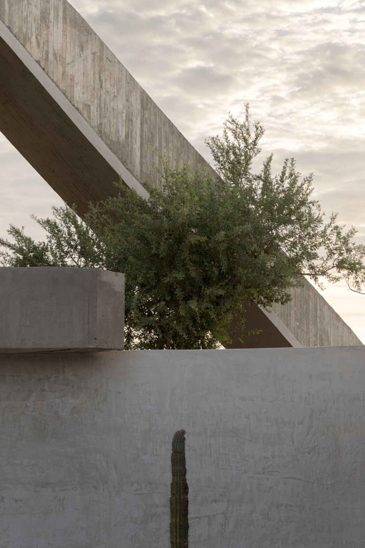 La Paz住宅：墨西哥的自然栖居 / Ludwig Godefroy Architecture