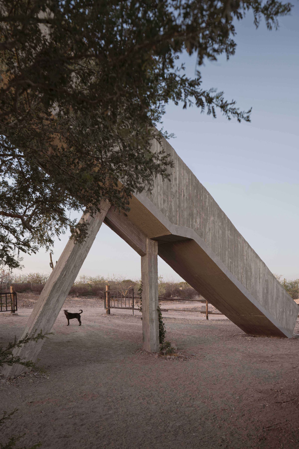 La Paz住宅：墨西哥的自然栖居 / Ludwig Godefroy Architecture