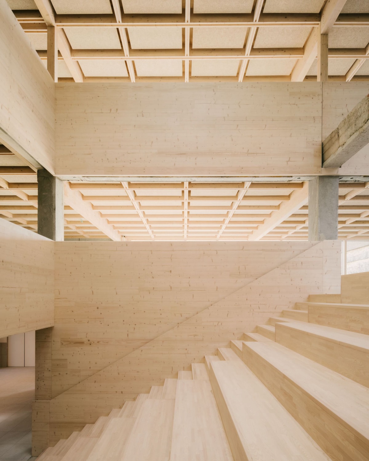 玛丽斯·巴斯蒂中学重建项目 / Tectoniques Architects