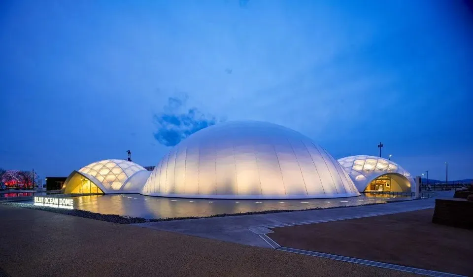 Blue Ocean Dome / 坂茂